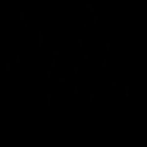 Meet your Posher, Gabriel